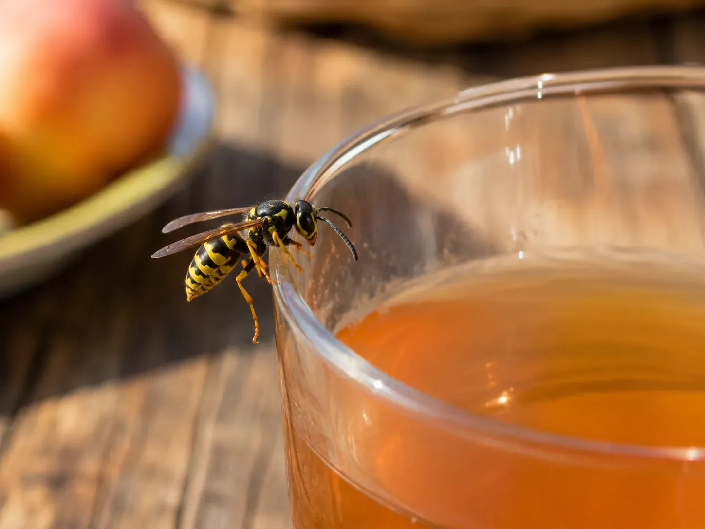 Guêpe posée sur le rebord d'un verre de jus orange, fruit flou en arrière-plan sur une table en bois